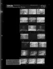 Rain Pictures (21 negatives), June 14-17, 1966 [Sleeve 34, Folder b, Box 40]